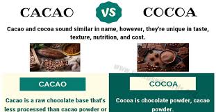 Cacao Vs Cocoa Basic Difference Between Cocoa Vs Cacao Confused Words Cocoa Vs Cacao Cacao Cocoa