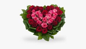 Mazzo di rose rosse tumblr. Cuore Di Rose Rosse E Rosa Con Verde Decorativo Mazzo Di Rose Rosse E Rosa Hd Png Download Transparent Png Image Pngitem