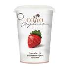 Organic Coconut Milk Yoghurt