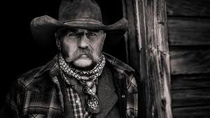 criticism of mainstream media and alternative news sources