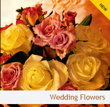 To arrange for flowers delivered for the rest of australia, we use a small set of florists who we have longstanding relationships with and who share the same. Waratah Florist