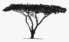 African sunset in the savannah with silhouette of animals. Vector Graphics Africa Image Download Silhouette African Tree Silhouette Vector Hd Png Download Transparent Png Image Pngitem