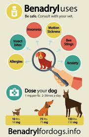 Pin On Pet Supplies