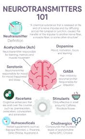 Pin By Premier Health And Wellness Gr On Healthy Mind Brain Facts Medical Knowledge Brain Anatomy
