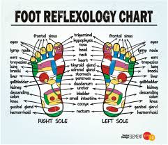 61 abundant foot chart reflexology free