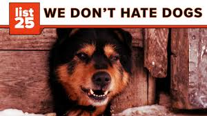 25 Most Dangerous Dog Breeds