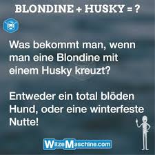 Nuttenwitze Schmutzige Witze Blondine Husky Schmutzige Witze Witze Lustige Gags