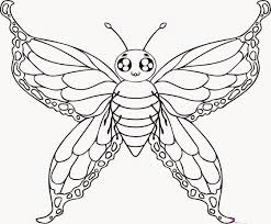 Beautiful Colour Butterflies Drawing Hd Wallpaper Butterfly Coloring Page Butterfly Drawing Cartoon Butterfly