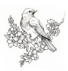 Visualizza altre idee su fiore geometrico, idee per tatuaggi, tatuaggi. Las Nuevas Flores Tatuaje De Dibujo Birds Ideas Nel 2020 Fiori Disegnati A Matita Disegni Di Uccelli Disegno Di Fiori