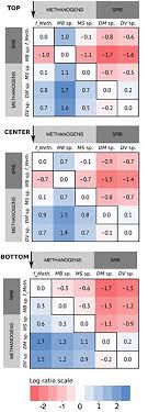 Frontiers Evidence Of Spatial Homogeneity In An