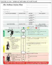 It has clear targets, actions and timelines for implementation and calls for active participation by all stakeholders. Https Www Bcbsnm Com Pdf Cpg Asthma Pdf