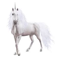 We did not find results for: Free Transparent Unicorn Png Images Download Purepng Free Transparent Cc0 Png Image Library