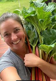 Rhubarb ready to be picked early this year