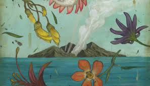Every Second Matters The True Story Of The White Island Eruption Adventure Tourism Active Volcano Island