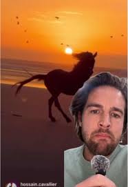 Horse Jumps Backwards