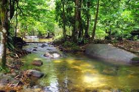 Turn off jalan kuching close to batu caves and take highway b23. Hutan Lipur Sg Tua Portal Rasmi Majlis Perbandaran Selayang Mps