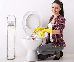 Check spelling or type a new query. Does My Toto Toilet Clean Itself Toto Toilet Toilet Cleaning Bombs Toilet Stains