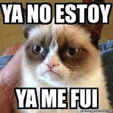 We did not find results for: Meme Grumpy Cat Ya No Estoy Ya Me Fui 20060613