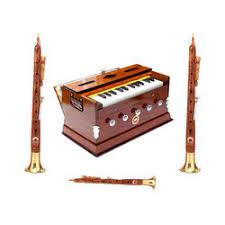 Unusual instruments mayuri northern india 19th century this peacock is a bowed, stringed instrument with movable frets, four principal strings, and fifteen sympathetic strings. Traditional Indian Musical Instrument à¤­ à¤°à¤¤ à¤¯ à¤¸ à¤— à¤¤ à¤‰à¤ªà¤•à¤°à¤£ Surjit Overseas New Delhi Id 1211724862