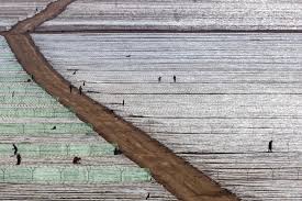 Yann arthus bertrand fanpage posted a video to playlist le maroc vu du ciel. Morocco From The Sky A Foretaste Of Yann Arthus Bertrand S New Work Maroc