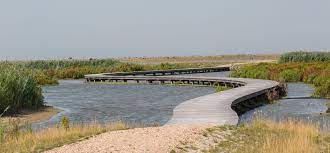 Marker wadden is een in 2016 in aanleg genomen meerledig gebied van natuureilanden in nederland, in het markermeer. Steeds Meer Kennis Over Ecologie Marker Wadden Natuurmonumenten