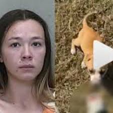 Stream episode NEW@@ Clip 18+ logan guminski video logan guminski dog video logan  guminski reddit by Grasela Grasela podcast | Listen online for free on  SoundCloud