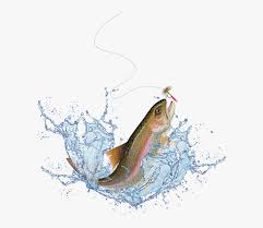 Jumping Salmon Png Fish Jumping Out Of Water Transparent Png Download Kindpng Find over 100+ of the best free salmon fishing images. jumping salmon png fish jumping out