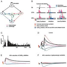 Gina wilson all things algebra congruent triangles quiz, gina wilson. Role Of Ionotropic Glutamatergic And Gabaergic Inputs On The Firing Activity Of Neurons In The External Pallidum In Awake Monkeys Journal Of Neurophysiology