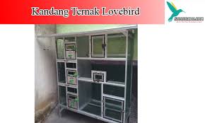 Scopri ricette, idee per la casa, consigli di stile e altre idee da provare. Mengenal Jenis Kandang Ternak Lovebird Yang Bagus