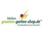 Deshalb können wir das große sortiment von nutzpflanzen als sehr schnellen pflanzenversand anbieten. Gruner Garten Shop Ebay Shops