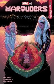 We did not find results for: Review Marauders 11 The Funeral We Ve All Been Waiting For Wwac