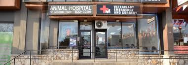 Affordable emergency vet clinic near me. Animal Hospital And Veterinary Center Bronx Morris Park Animal Hospital