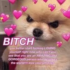 Its Wholesome Hours I Love You And Adore You So Much Cute Love Memes Love You Meme Wholesome Memes