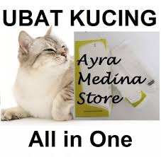 Maklumat perubatan disemak oleh panel perubatan hello doktor. Ubat Untuk Kucing Cirit Birit Apa Dan Cara Merawat Cirit Birit Dalam Kucing Sebab Dan Pencegahan Ubat Cacing My Corner Via Norhana2u Blogspot Com Toni Dusaya