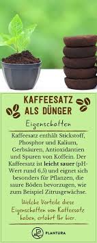 Kaffeesatz Als Dunger Verwendung Vorteile Plantura Kaffeesatz Gemahlener Kaffee Dunger Fur Tomaten