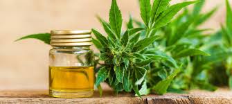 Huiles De Cbd Snrhomehealthcare Com