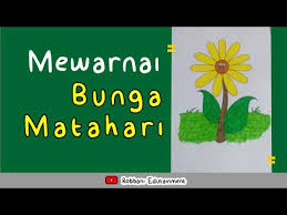 Misalnya bunga matahari adalah bunga berwarna oranye dan kuning, bunga mawar berwarna merah, serta bunga melati warnanya putih. Belajar Mewarnai Bunga Matahari Youtube