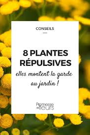 Plante qui ?loignent les mouches. 8 Plantes Repulsives Elles Montent La Garde Au Jardin