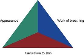Image result for Pediatric Assessment Triangle