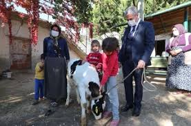 Gaziantep Te Hayvan Yetistiricilerine Destek Devam Ediyor