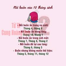 Hình ảnh có liên quan
