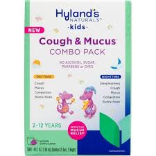 Hyland'S Naturals Kids Day & Night Cold 'N Cough Relief Liquid - 8 Fl Oz :  Target