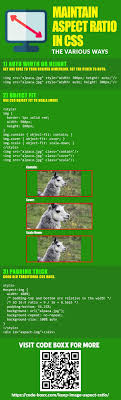 How To Maintain Image Aspect Ratio In Css In 2020 Aspect Ratio Css Image