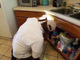 Mobile county, balwin county, mobile al, bayou la batre al, dauphin island al, irvington al, theodore al, saraland al, prichard al, spanish fort al, daphne bugpro also offers commercial pest control services and commercial pest extermination! Pest Control Gulf Shores Al Advanced Pest Control Of Alabama