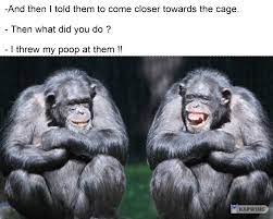 We did not find results for: Return To Monke Memes