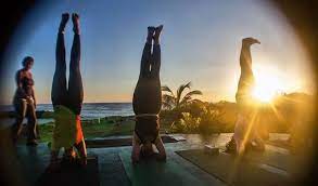 We did not find results for: Yoga Retreats And Sanctuaries In Jamaica