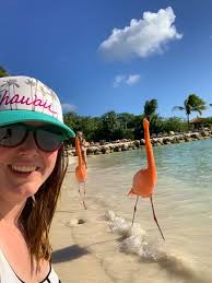 How to access flamingo beach. Everything You Need To Know About Visiting Flamingo Beach Aruba The Sweetest Escapes