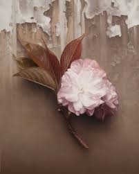 Image result for arte hiperrealista