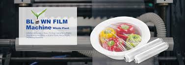 The demand for vermicelli noodle in the local market is very encouraging. Chyi Yang Industrial Co Ltd Prm Taiwan