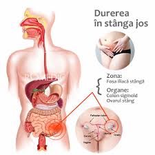 Durere In Stanga Jos Abdomen BurtÄƒ Romedic